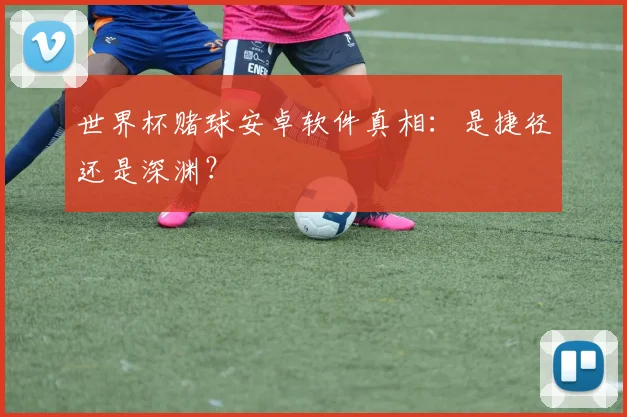 世界杯赌球安卓软件真相:是捷径还是深渊?