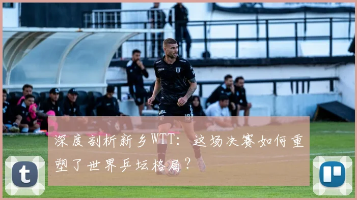 深度剖析新乡WTT：这场决赛如何重塑了世界乒坛格局？