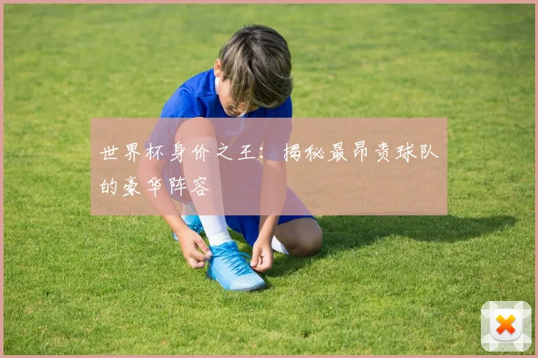 世界杯身价之王:揭秘最昂贵球队的豪华阵容